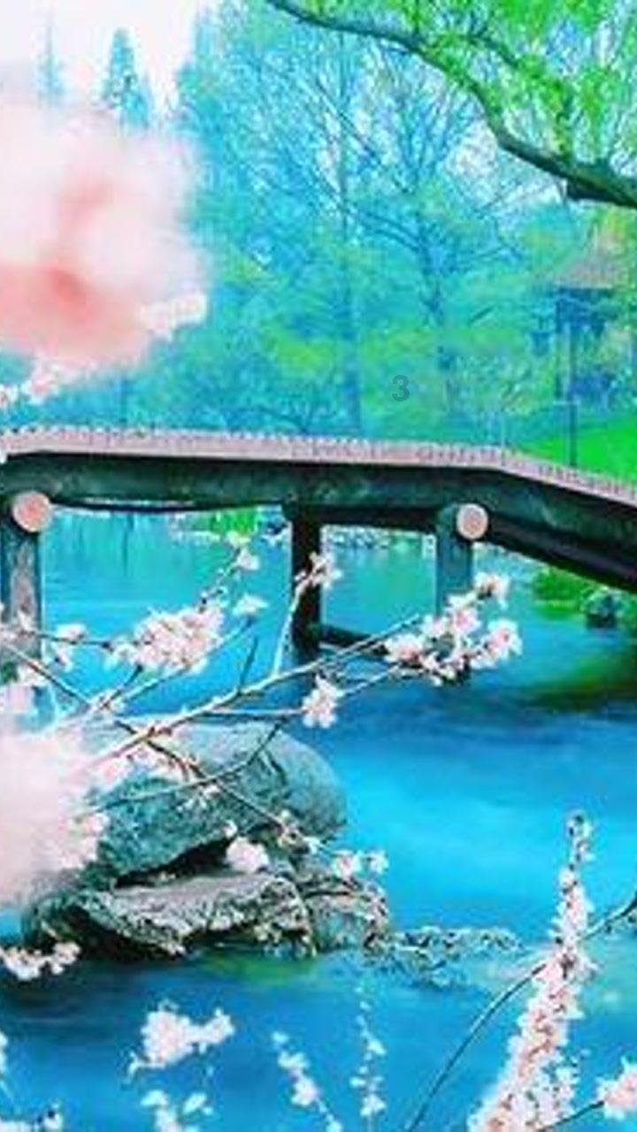 研究发现睡前玩手机伤眼又折寿,你睡前都会玩手机吗?-解答你的问题,找到你想要的答案